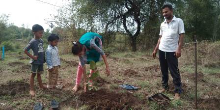 27 june 2018 tree plantation