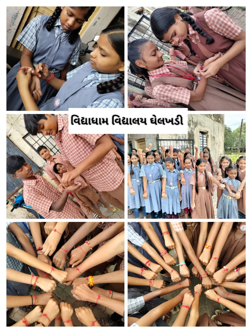 29 aug 2023 vidhyadham vidhyalay gift rakhdi