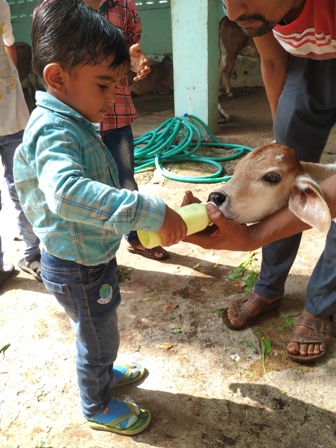 2nd jan 2022 cowmilk food 