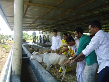 Gaushala Opening